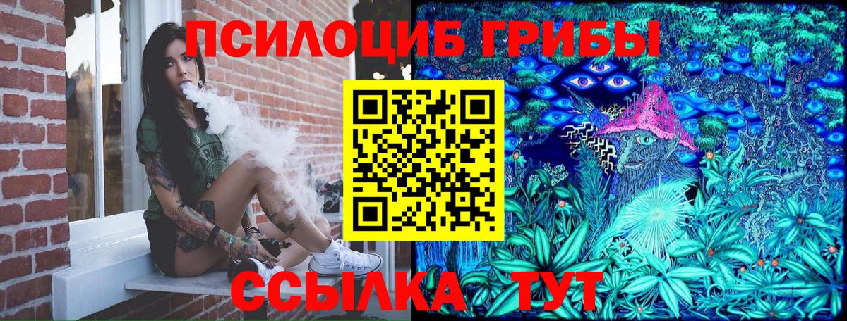 Галлюциногенные грибы ЛСД Кольчугино