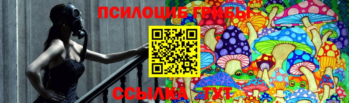 Кольчугино  Галлюциногенные грибы Cubensis  Галлюциногенные грибы мухоморы  Вход с VPN 